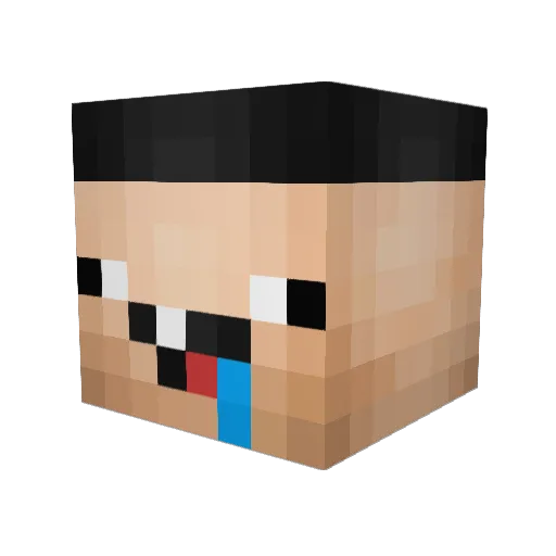 Jpaa1 Minecraft avatar head, 3D render