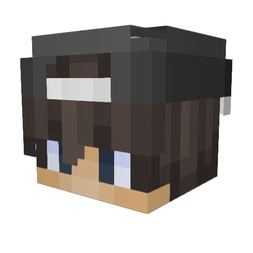 Jpank9 Minecraft avatar head, 3D render