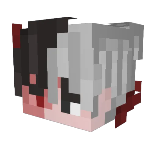 Jplayz_1 Minecraft avatar head, 3D render