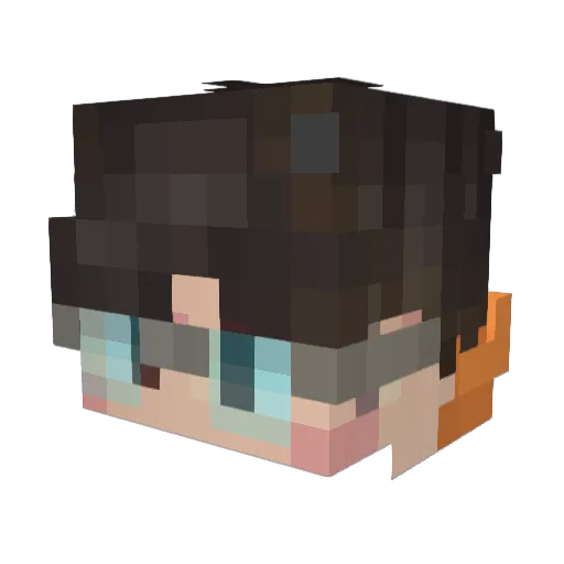 Jplol100 Minecraft avatar head, 3D render