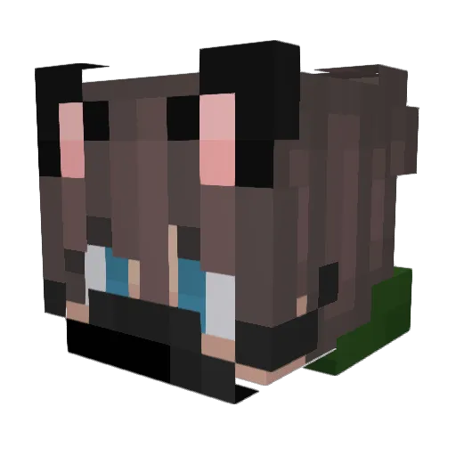 Jpqlx Minecraft avatar head, 3D render