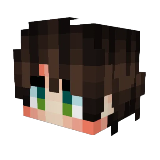 Jqeger Minecraft avatar head, 3D render