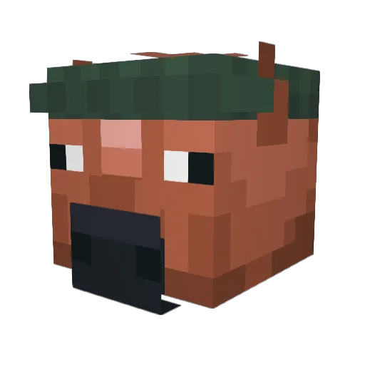 JqnCln Minecraft avatar head, 3D render