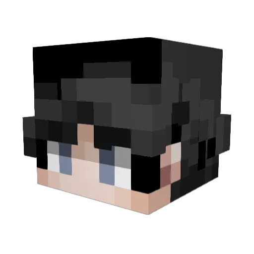 Jqshuas Minecraft avatar head, 3D render