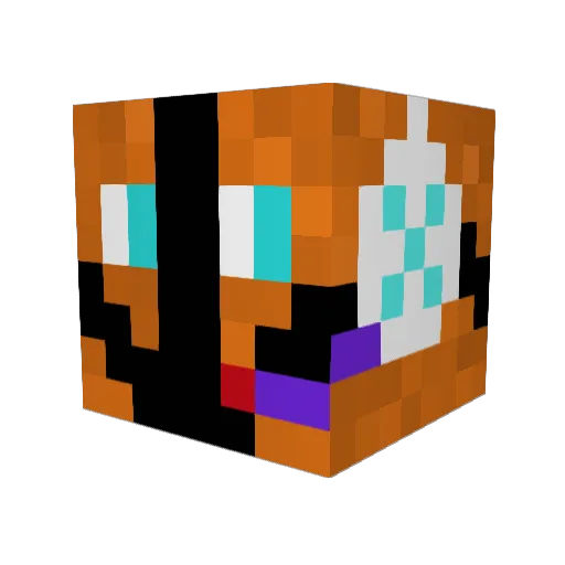 Jr1214 Minecraft avatar head, 3D render