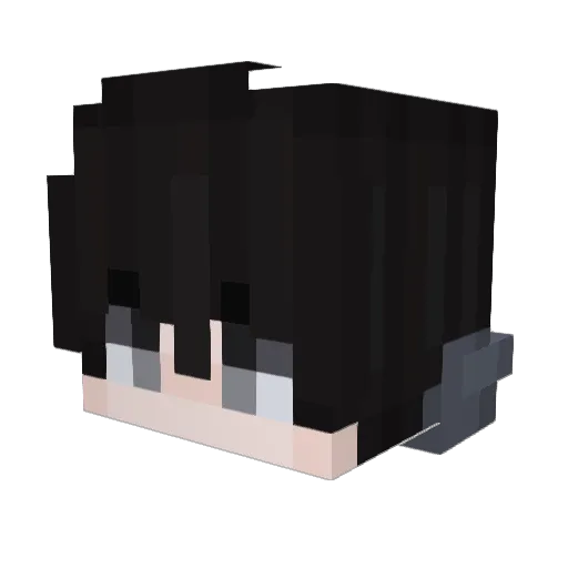 Jr2806 Minecraft avatar head, 3D render