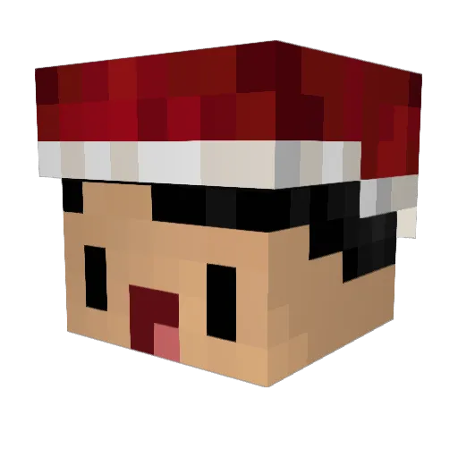 JrKnx Minecraft avatar head, 3D render