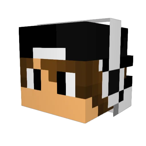 JrMasterDan Minecraft avatar head, 3D render