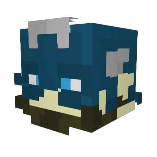 Jr_3 Minecraft avatar head, 3D render
