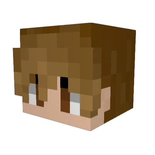 Jrad22 Minecraft avatar head, 3D render