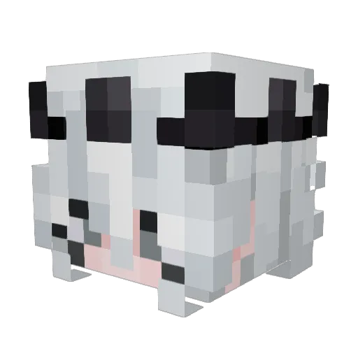 Jranzau Minecraft avatar head, 3D render
