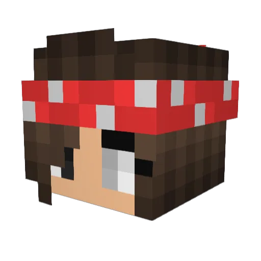 Jrapp Minecraft avatar head, 3D render