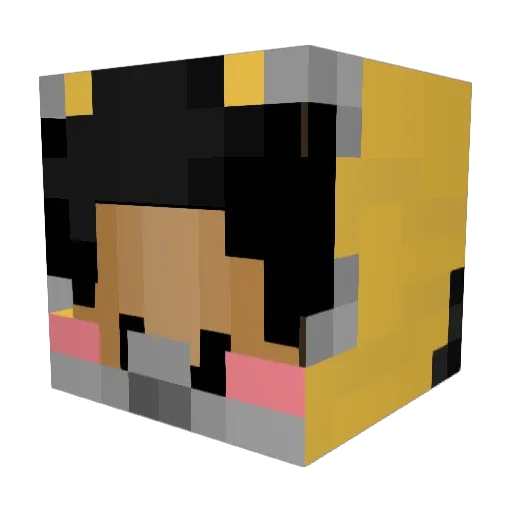 Jray2311 Minecraft avatar head, 3D render