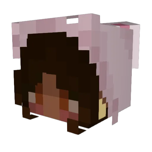 Jrble18 Minecraft avatar head, 3D render