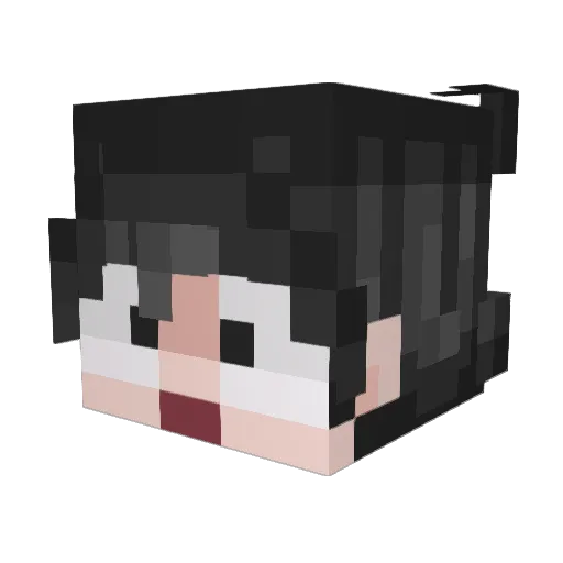 Jrcasebolt1 Minecraft avatar head, 3D render