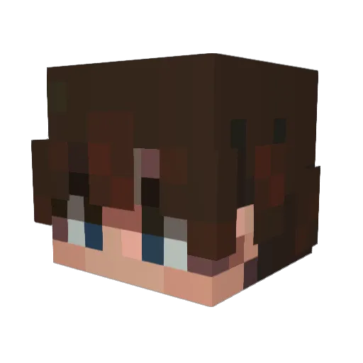 Jrg520 Minecraft avatar head, 3D render