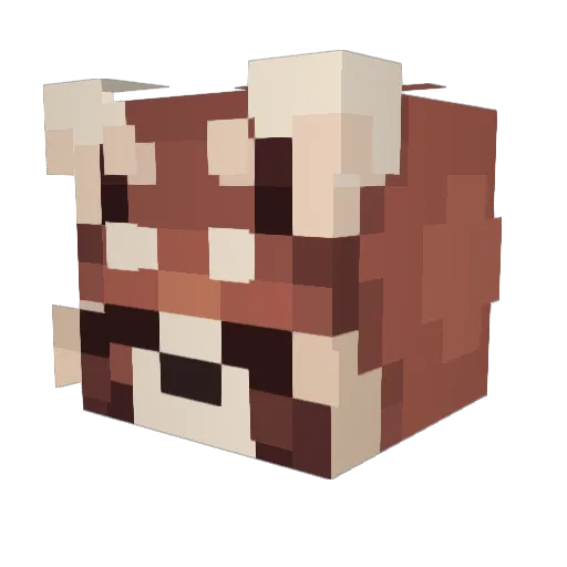 Jric0 Minecraft avatar head, 3D render