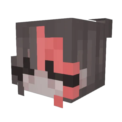 Jrj534 Minecraft avatar head, 3D render