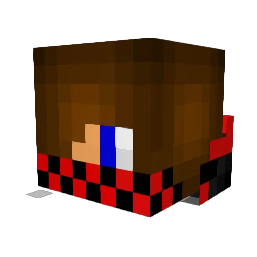 Jrm0702 Minecraft avatar head, 3D render