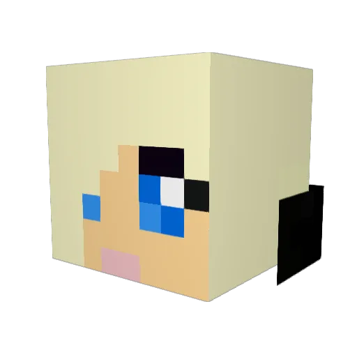 Jrminerr Minecraft avatar head, 3D render