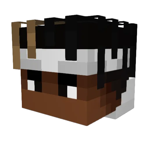 Jrock0702 Minecraft avatar head, 3D render
