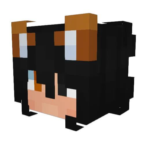 Jromefan1 Minecraft avatar head, 3D render