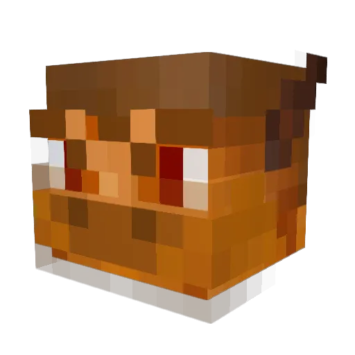 JsTheEmperor Minecraft avatar head, 3D render