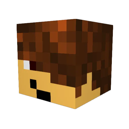 Js_6 Minecraft avatar head, 3D render