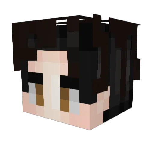 Jsandford Minecraft avatar head, 3D render
