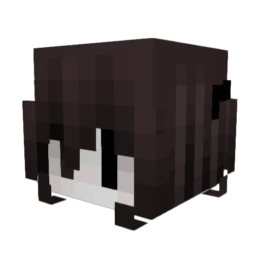 Jsfvv Minecraft avatar head, 3D render