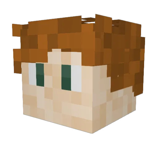 Jsgsbsiynn Minecraft avatar head, 3D render