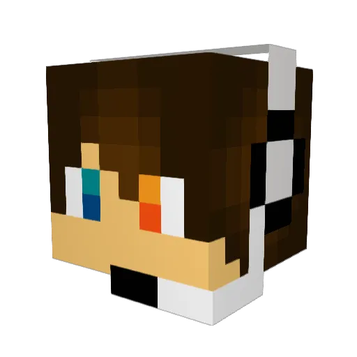 Jsilva124 Minecraft avatar head, 3D render