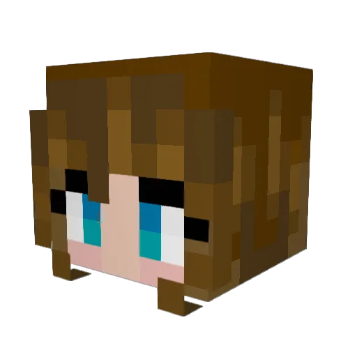 Jsmelly23 Minecraft avatar head, 3D render