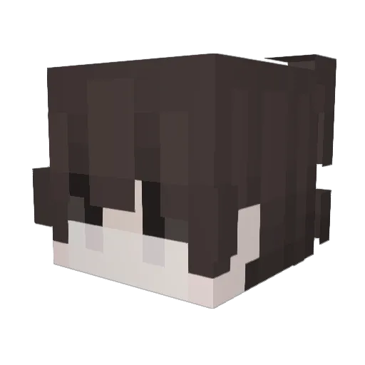 Jsr Minecraft avatar head, 3D render