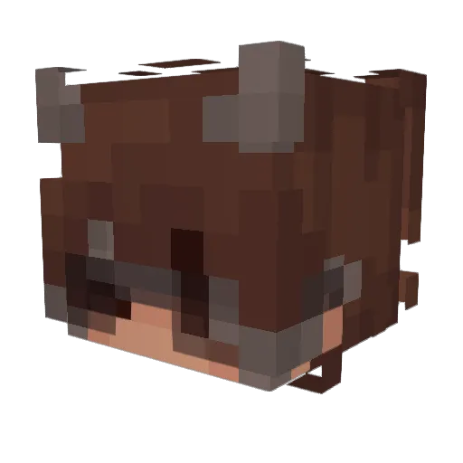 JstVayMC Minecraft avatar head, 3D render