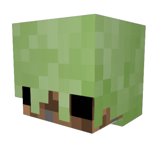 JstaShower Minecraft avatar head, 3D render