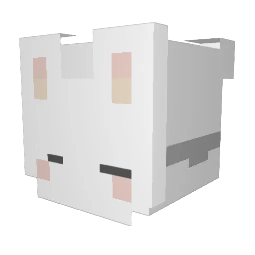 JstarCoup Minecraft avatar head, 3D render