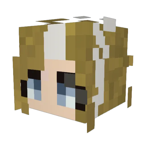 Jswim41 Minecraft avatar head, 3D render