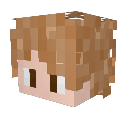 Jtay83 Minecraft avatar head, 3D render