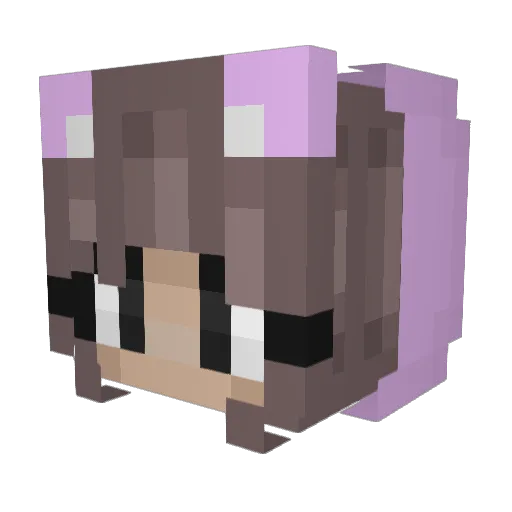 JteBrainPa Minecraft avatar head, 3D render