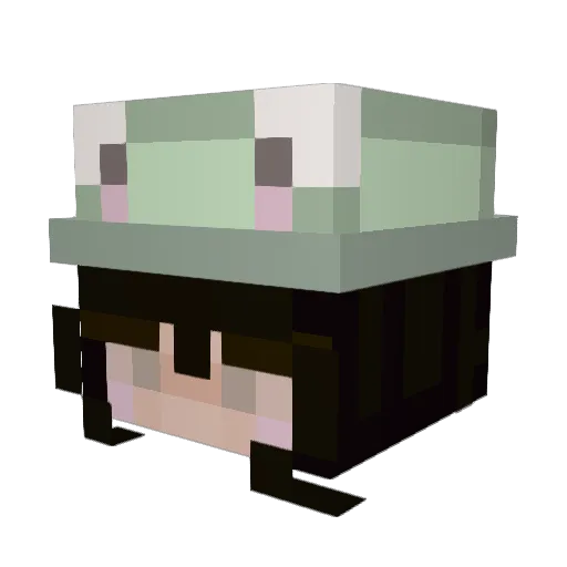 JteCubeDansFace Minecraft avatar head, 3D render