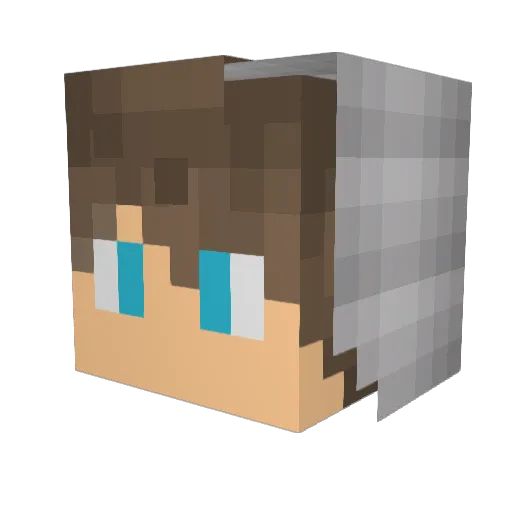 Jtillery Minecraft avatar head, 3D render