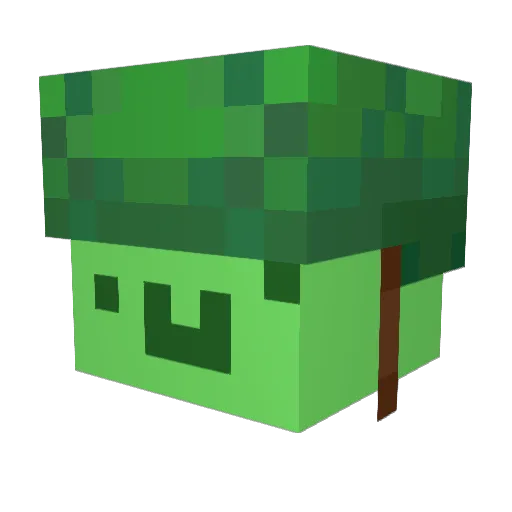 Jtjessie1 Minecraft avatar head, 3D render