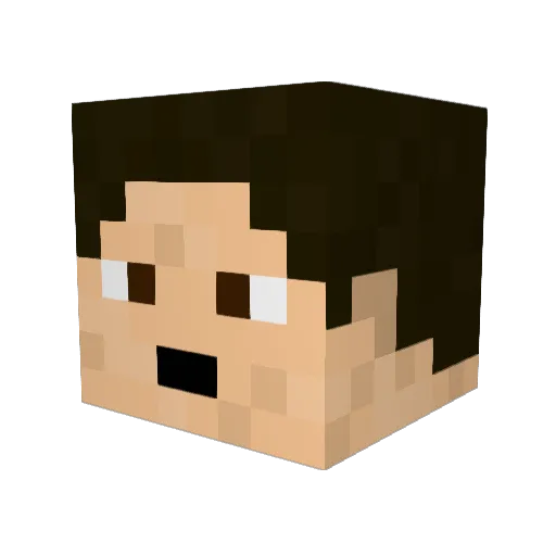 Jtron_5 Minecraft avatar head, 3D render