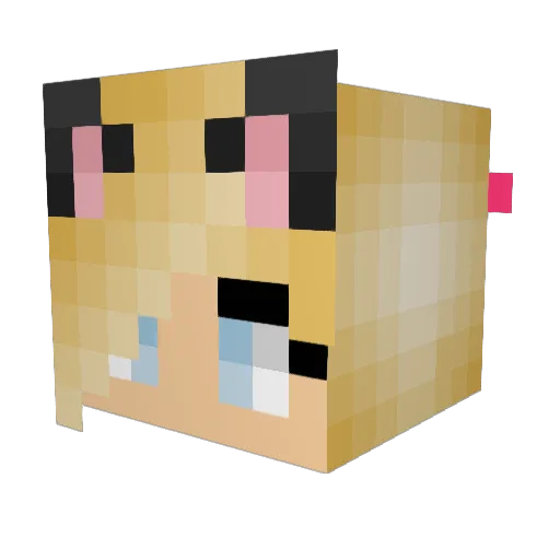 Ju2Kiwy Minecraft avatar head, 3D render
