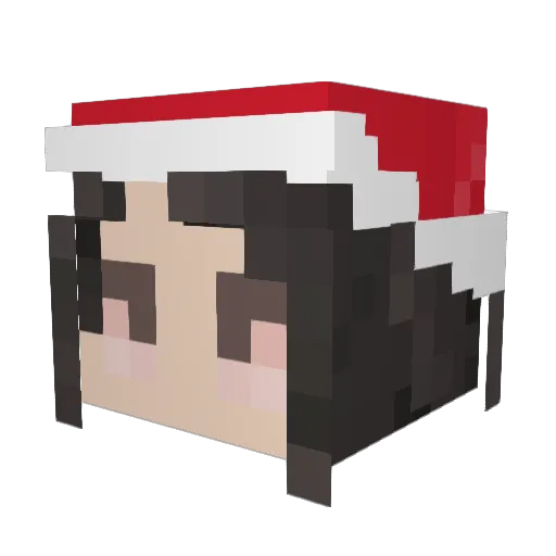 JuJu__Bee Minecraft avatar head, 3D render