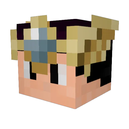 Ju_222 Minecraft avatar head, 3D render