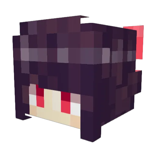 Ju_29 Minecraft avatar head, 3D render