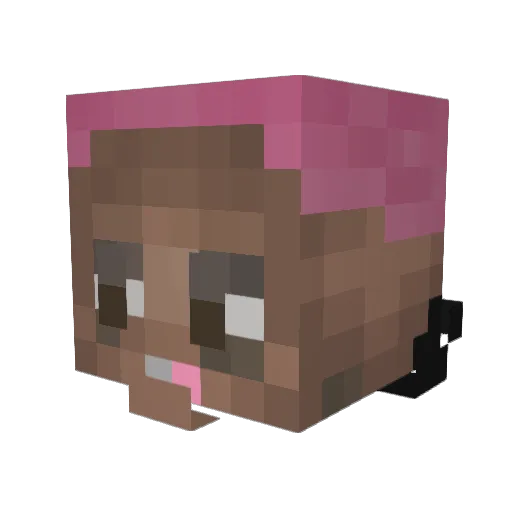 Juaanpacito Minecraft avatar head, 3D render