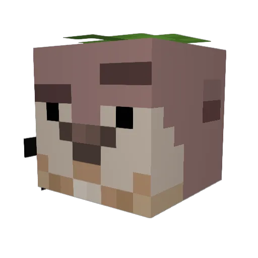 Juan13157 Minecraft avatar head, 3D render